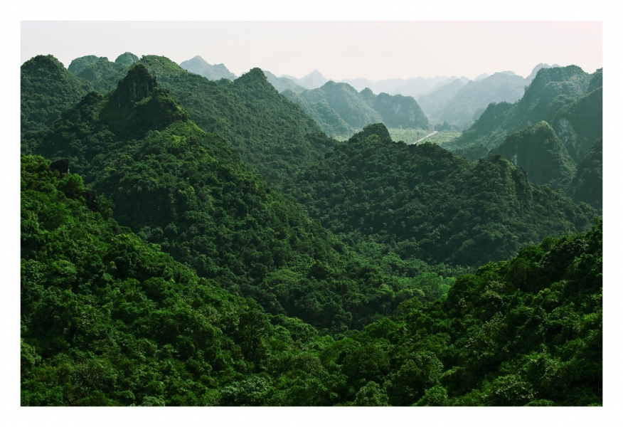 From the observation tower high above Cat-Bah National Park,  Vietnam